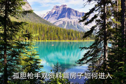 孤胆枪手双资料篇房子如何进入