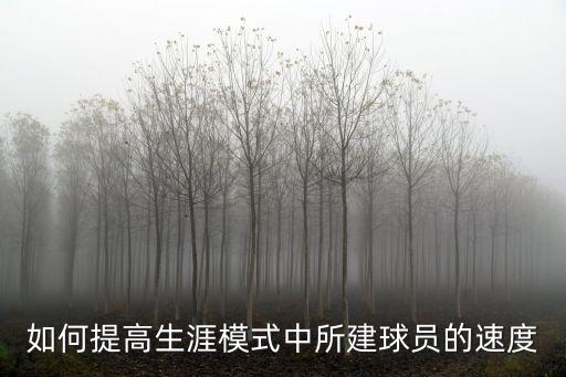 如何提高生涯模式中所建球员的速度