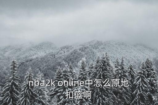 nba2k online中怎么原地扣篮啊