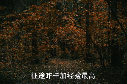 征途手游地图经验怎么加，征途的经验怎么弄呀