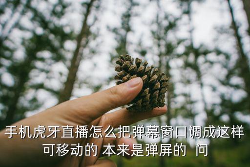 手游直播怎么调整屏幕，怎么调屏幕大小