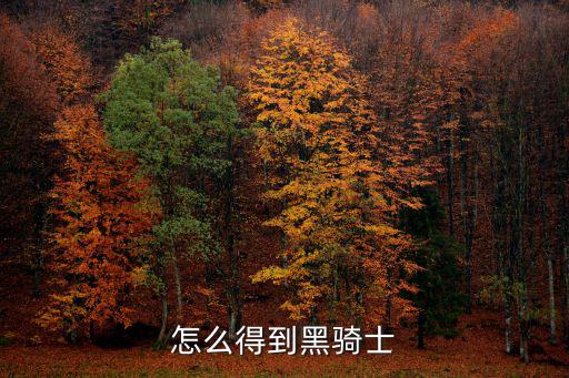 怎么得到黑骑士
