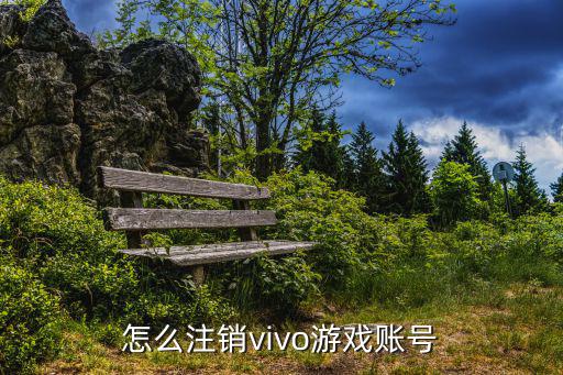 vivo手游问道账号怎么注销，怎么注销vivo游戏账号