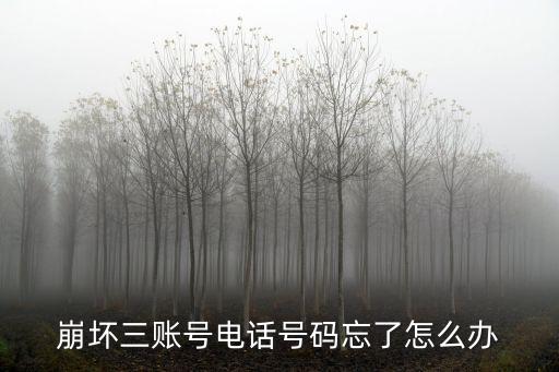 崩坏三账号电话号码忘了怎么办