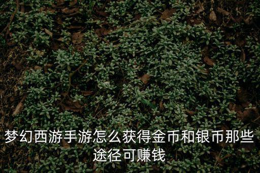梦幻西游手游怎么获得金币和银币那些途径可赚钱