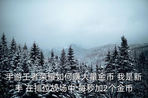 王者荣耀手游中怎么获得金币，手游王者荣耀如何赚大量金币 我是新手 在排位战场中 每秒加2个金币