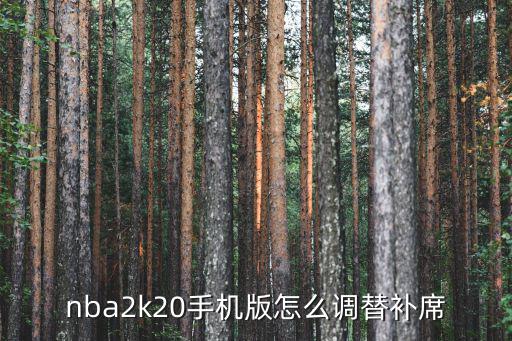 2k20手游怎么打替补，nba2k20的mt模式怎么预设替补