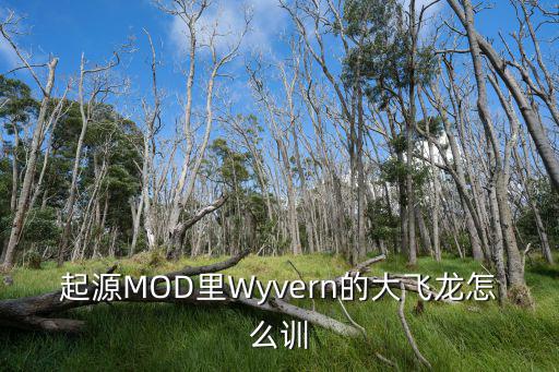 起源MOD里Wyvern的大飞龙怎么训
