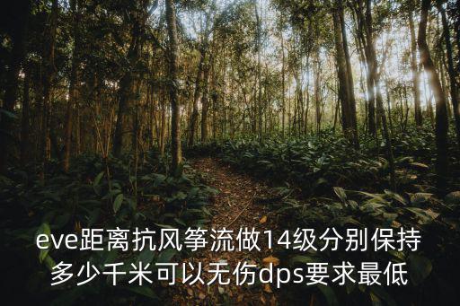 eve距离抗风筝流做14级分别保持多少千米可以无伤dps要求最低