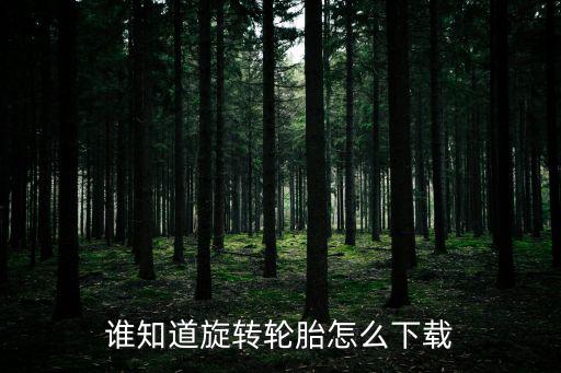 旋转轮胎手游怎么下载不了，谁知道旋转轮胎怎么下载