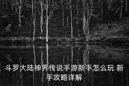 斗罗大陆神界传说手游新手怎么玩 新手攻略详解