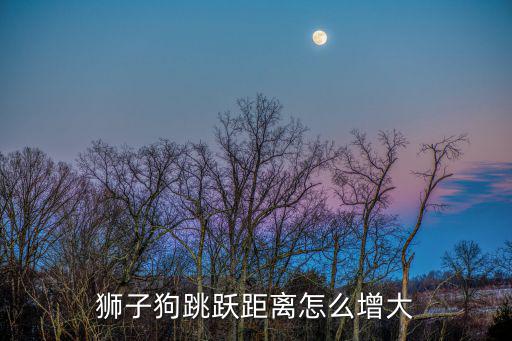 手游狮子狗跳的距离怎么没那么远，狮子狗跳跃距离怎么增大