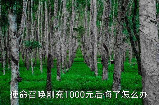 使命召唤刚充1000元后悔了怎么办