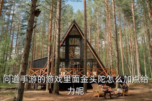 问道手游普陀怎么提升，问道手游的游戏里面金头陀怎么加点给力呢