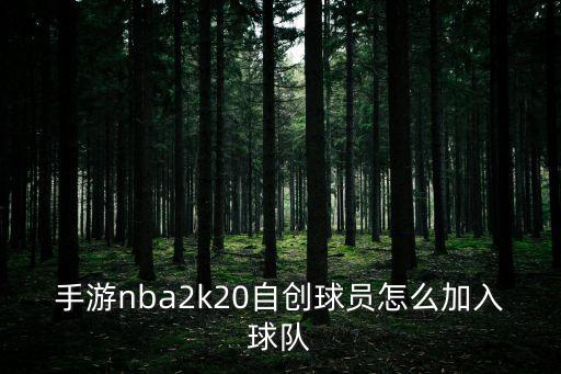 手游nba2k20自创球员怎么加入球队