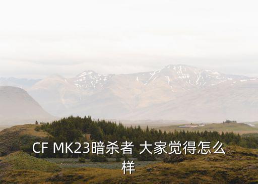 CF MK23暗杀者 大家觉得怎么样