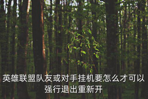 英雄联盟队友或对手挂机要怎么才可以强行退出重新开