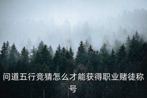 问道手游五行竞猜怎么获取，问道手游五行竞猜如何参加
