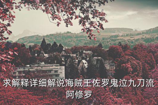 求解释详细解说海贼王佐罗鬼泣九刀流阿修罗
