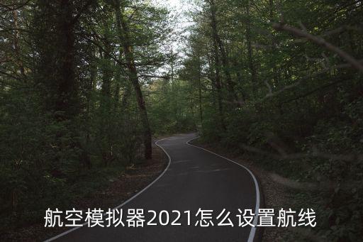 航空模拟器2021怎么设置航线