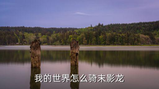 我的世界怎么骑末影龙