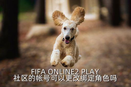 FIFA ONLINE2 PLAY社区的帐号可以更改绑定角色吗