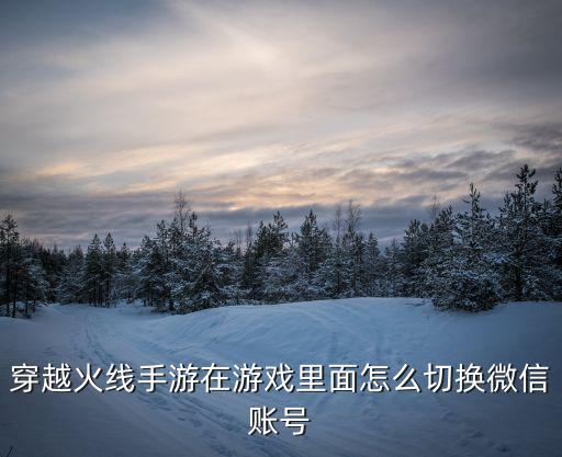 穿越火线手游换号怎么操作，新手刚玩想知道怎么切换账号啊第一抽了个美