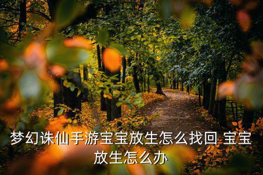 梦幻诛仙手游宝宝放生怎么找回 宝宝放生怎么办