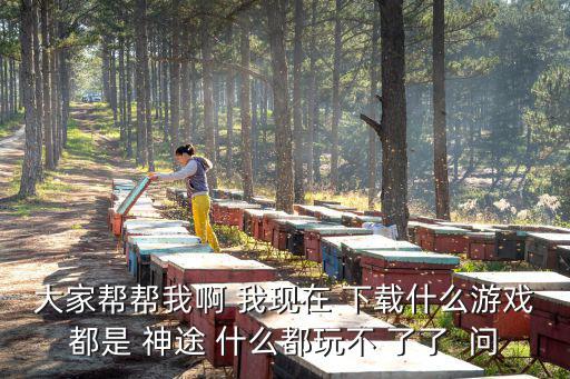 大家帮帮我啊 我现在 下载什么游戏都是 神途 什么都玩不 了了 问