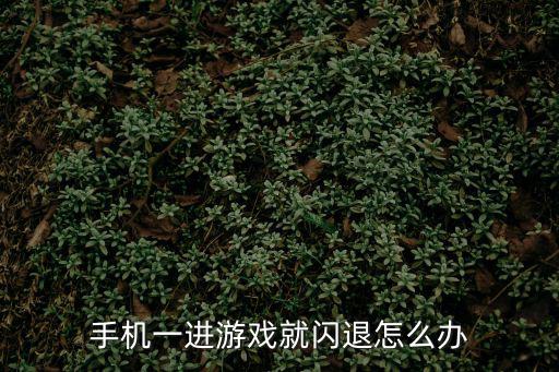 手机一进游戏就闪退怎么办