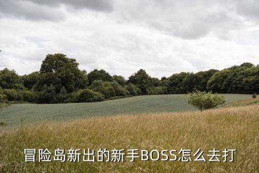 冒险岛新出的新手BOSS怎么去打