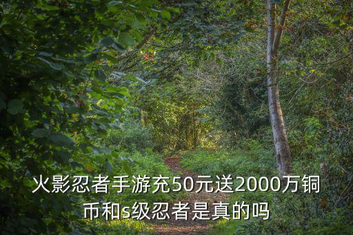 火影忍者手游充50元送2000万铜币和s级忍者是真的吗