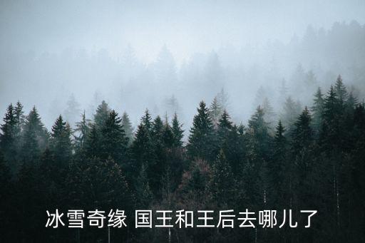 重生细胞手游王后与海怎么去，冰雪奇缘 国王和王后去哪儿了