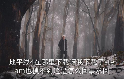 地平线4在哪里下载啊我下载了steam也搜不到这是怎么回事求回