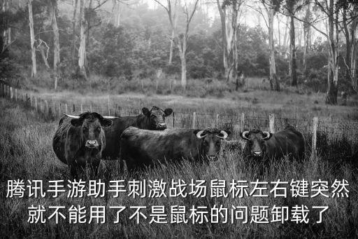 腾讯手游助手按键失灵怎么办，用腾讯手游助手现在开镜变成Q上下车失灵键位设置也改不回来怎