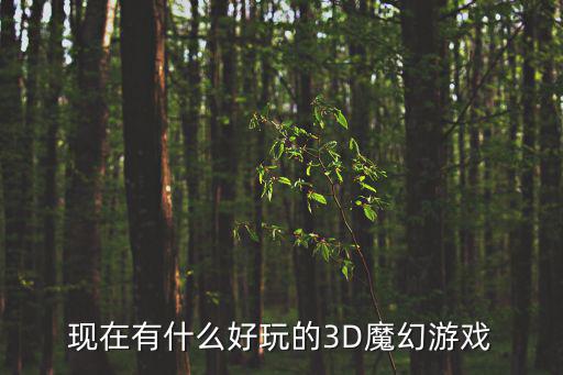 现在有什么好玩的3D魔幻游戏