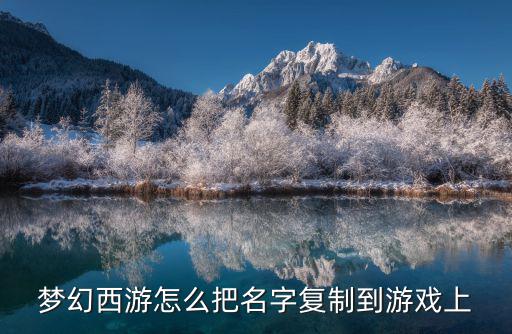 梦幻西游怎么把名字复制到游戏上
