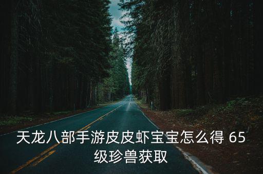 天龙八部手游皮皮虾宝宝怎么得 65级珍兽获取