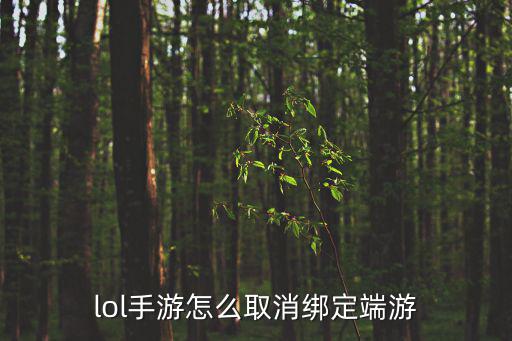 lol手游怎么取消绑定端游