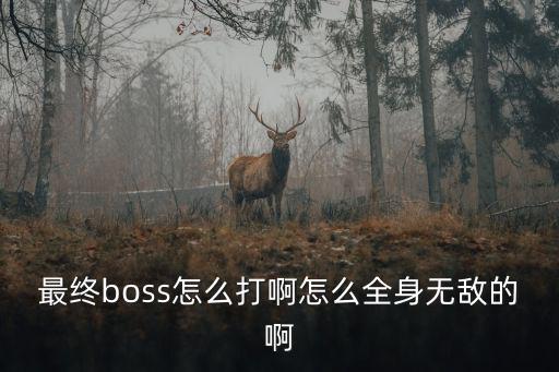 最终boss怎么打啊怎么全身无敌的啊