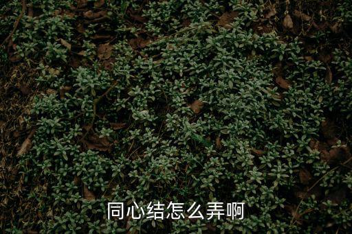征途2手游同心结怎么获得，同心结怎么弄啊