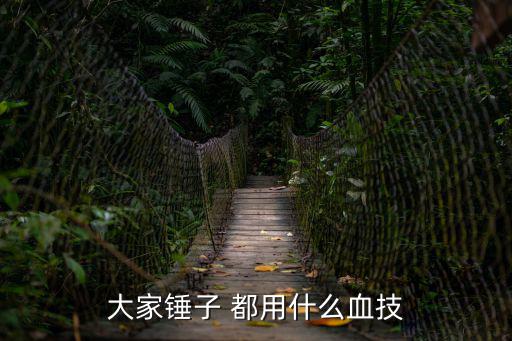 大家锤子 都用什么血技