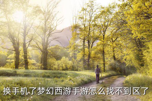 换手机了梦幻西游手游怎么找不到区了