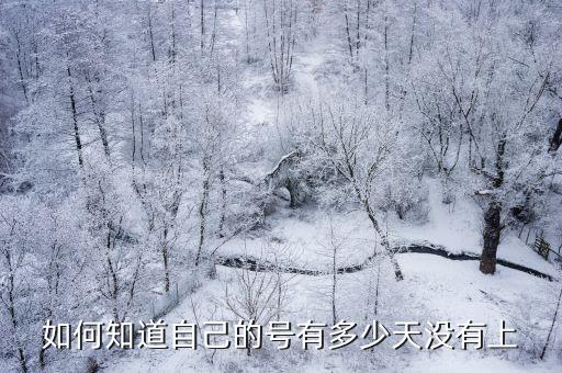 奥拉星手游怎么知道注册多少天，在哪可知道自己登陆了几天