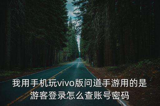 我用手机玩vivo版问道手游用的是游客登录怎么查账号密码