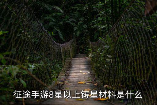 征途手游8星以上铸星材料是什么