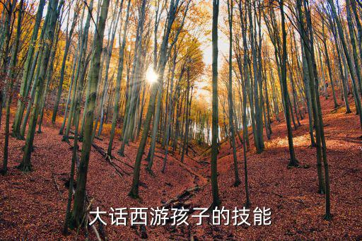 大话西游孩子的技能