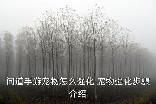 问道手游宠物怎么强化 宠物强化步骤介绍