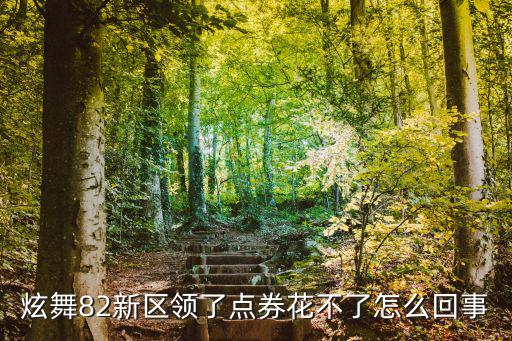 炫舞82新区领了点券花不了怎么回事