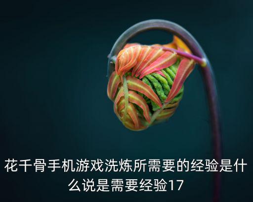 花千骨手机游戏洗炼所需要的经验是什么说是需要经验17